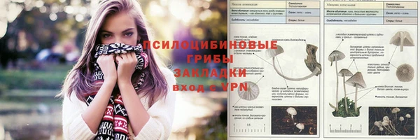 стаф Алексин