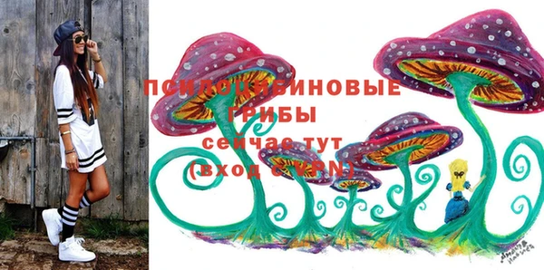первитин Кропоткин