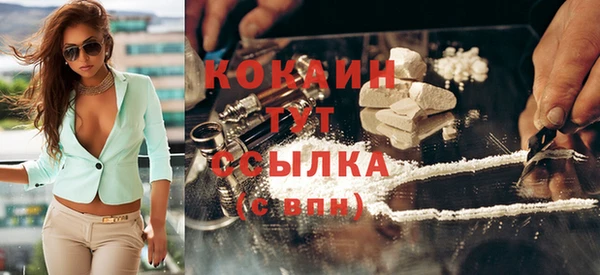 шишки Абинск