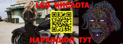мдпв Гусев