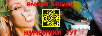 мдпв Гусев