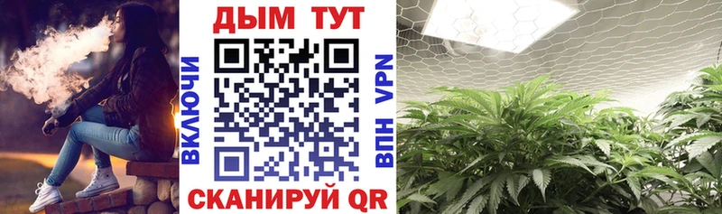 продажа наркотиков  Лесозаводск  Канабис Bruce Banner 